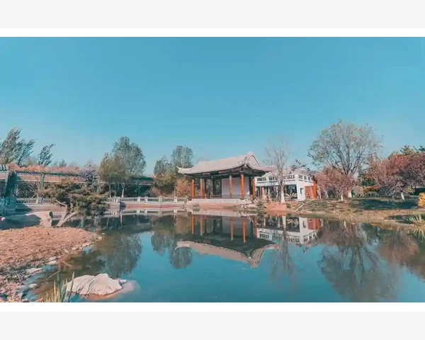 秋天止咳化痰润肺汤：呵护你的呼吸道健康