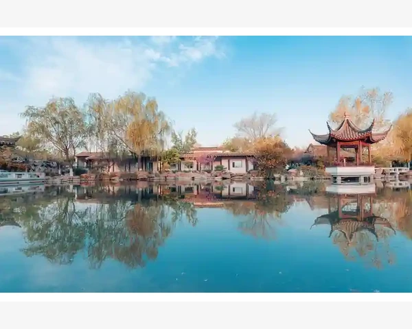 吃脾胃舒：食欲大增的奥秘